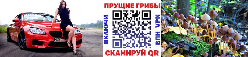 продажа наркотиков  Энем  Псилоцибиновые грибы мухоморы 